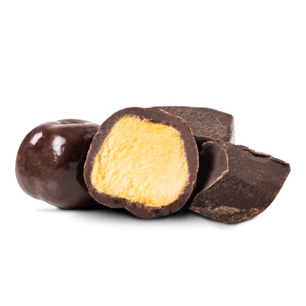 Tru Fru Nature's Mangoes Hyper-Dried Fresh in Dark Chocolate, 4.5 Ounce Bag - Image 3