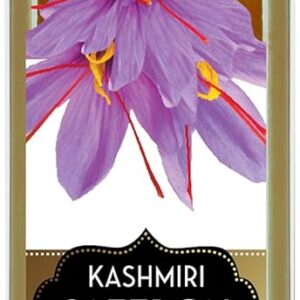 Floral Elixir Co. - All Natural FLOWER Syrup for Cocktails & Sodas, 8.5 oz (Kashmiri Saffron)