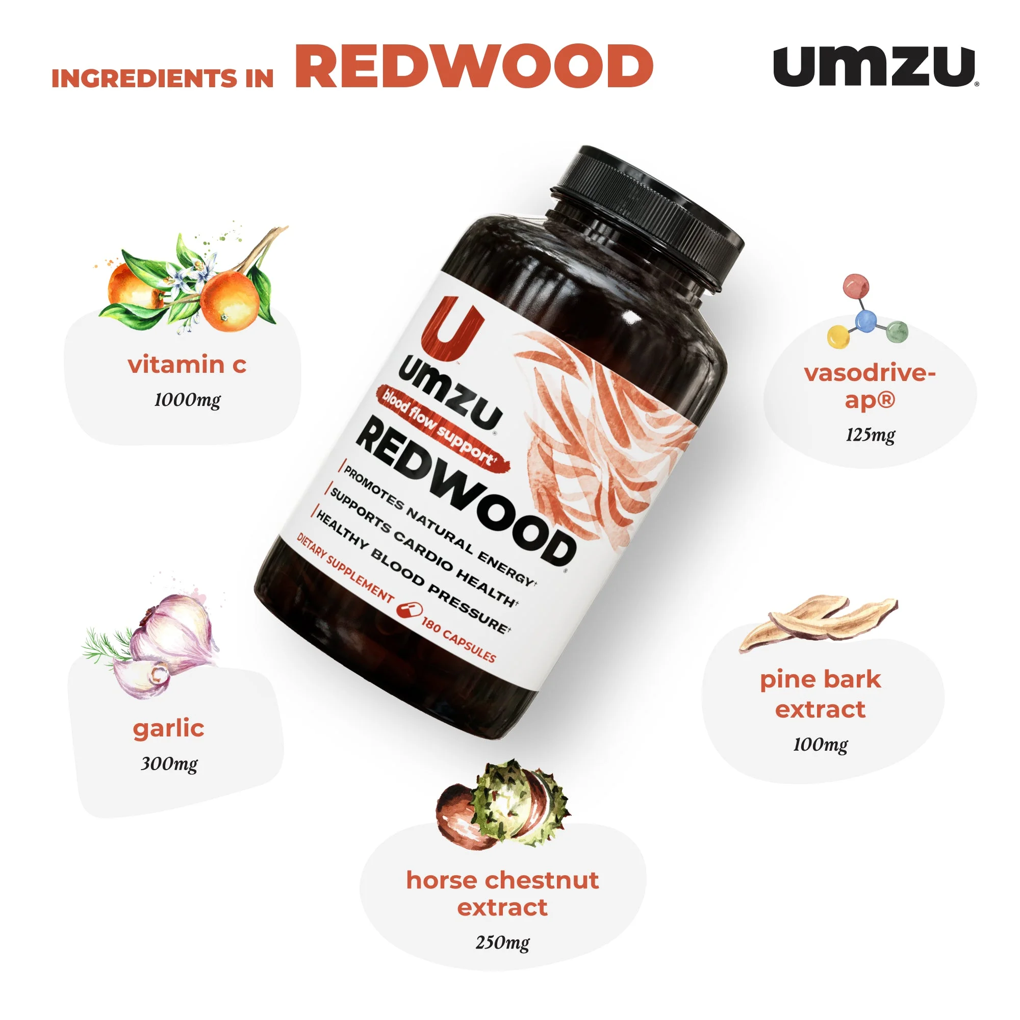 UMZU Redwood: Boost Nitric Oxide & Blood Flow - Image 2