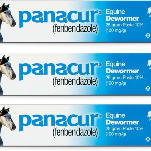 Panacur (3 Pack) Dewormer Horse Paste 10%, 100mg Each