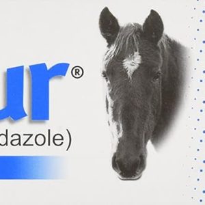 Panacur Dewormer Horse Paste 10%, 100mg