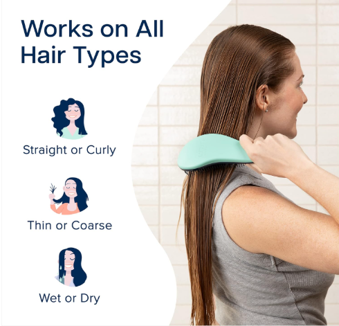 Crave Naturals Glide Thru Detangling Brush for Adults and Kids - Detangler Brush for Curly or Straight, Wet or Dry Hair - Gentle on Tangles Hair Comb - 7.5x3-Inch, Turquoise and Purple (Pack of 2)