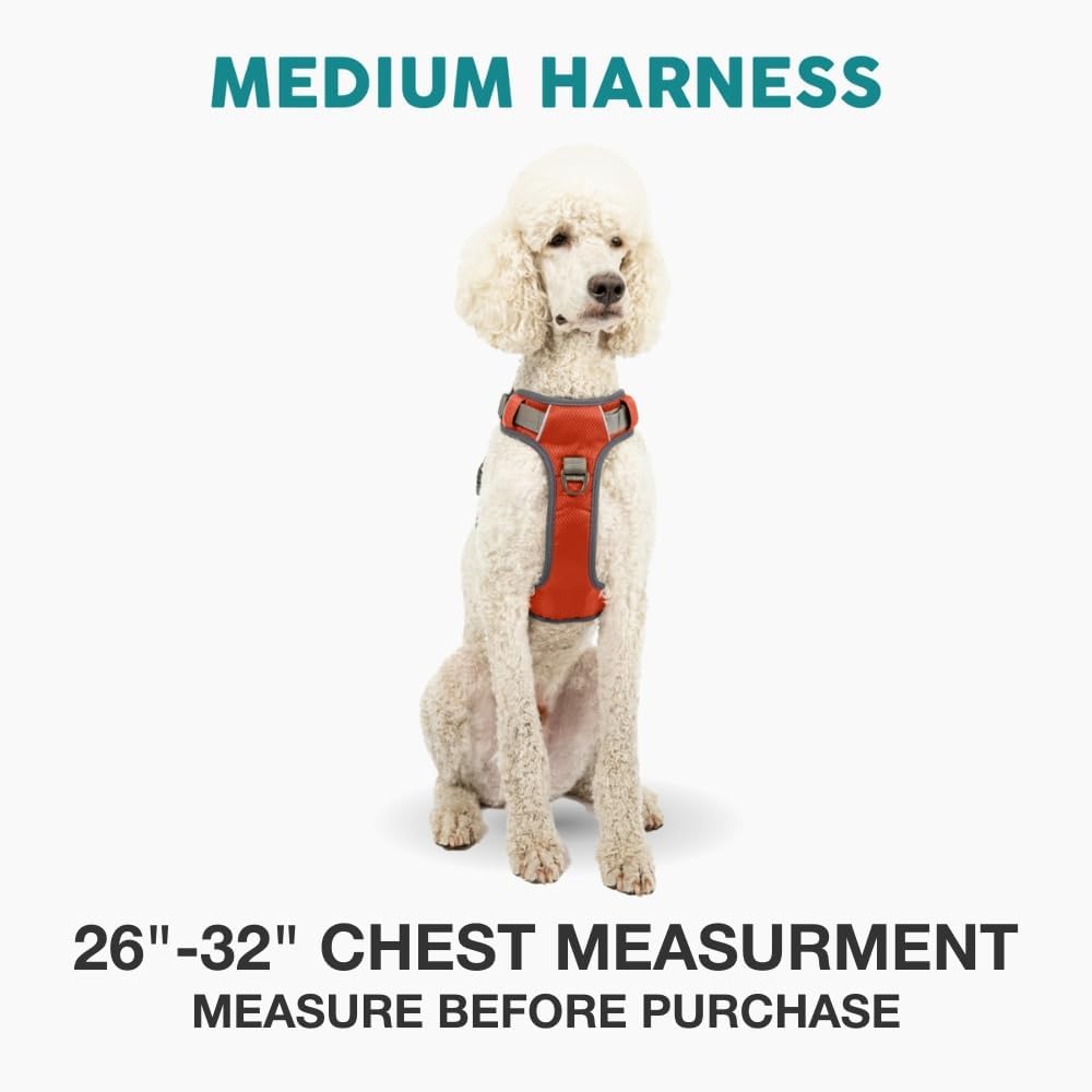 Embark Adventure No-Pull Medium Dog Harness – Reflective Trim, Military-Grade Nylon, Front Clip with Gel-Lined Handle - Image 3