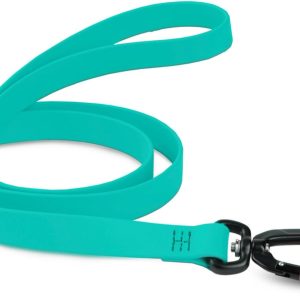 DogTraxs Essential Biothane Dog Leash, Teal, 1 in x 5 ft | Waterproof, For Large, Medium, Small Dogs, Dog Training, Locking Carabiner