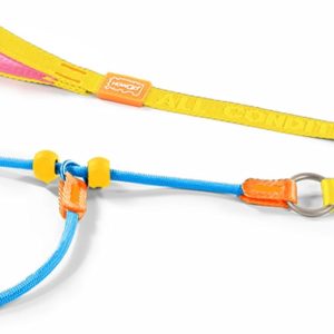 HowGo Slip Lead Dog Leash, 2 Spring-Loaded Slide Stopper (Multicolor 3.6FT) | Paddle Handles Heavy-Duty Training Lead Collar,Lightweight Aluminum Nylon,No-Pull Walking,Large Medium Breeds,Dog Trainer