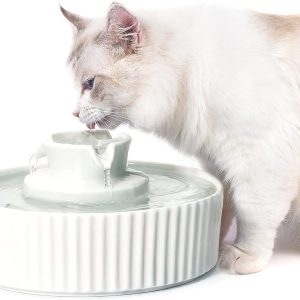 Ceramic Cat Water Fountain, Pet Ceramic Water Fountain Dispenser, 2.1 L Drinking Fountains Bowl for Cats and Dogs with Replacement Filters and Foam(White)