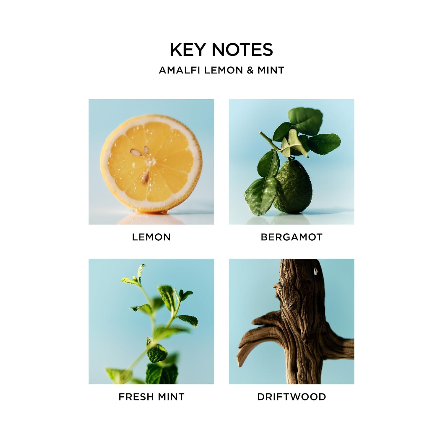 NEST New York Liquid Soap, Amalfi Lemon & Mint - 10 fl oz - Cleanses & Nourishes Skin - Approx. 300 Pumps Per Bottle - Gluten Free & Cruelty Free - Image 3