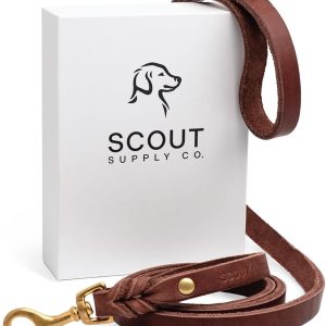 Scout Supply Classic Leather Dog Leash | Strong Heavy Duty Thick Full Grain Leather | Waterproof & Rust-Proof Brass Hardware (Dark Brown, L: 4.5 ft x 2/3 in)