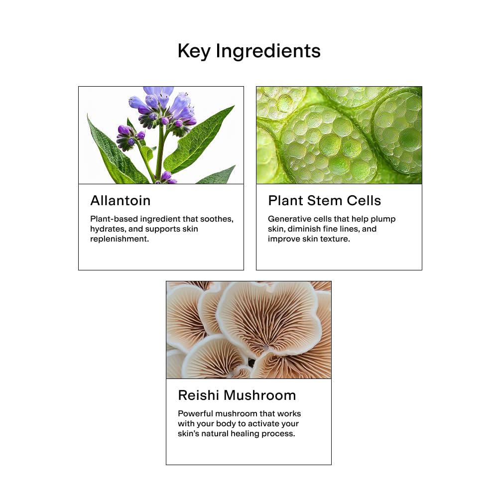 CLEARSTEM - CELLRENEW - Collagen Stem Cell Serum - Acne + Youthful Skin Face Serum - Hyaluronic Acid, Reishi, Aloe Vera - Facial Skin Care Products - Gluten Free, Cruelty Free - 1 fl oz / 29ml - Image 3