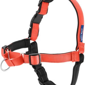 Petsafe Deluxe Easy Walk Harness, Small, Rose Pink, EWH-D-HC-S-RSE | Padded Neoprene Straps, Reflective Strips for Night Safety, Martingale Loop Curbs Pulling from the Chest, Not the Throat