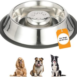 Neater Pet Brands Stainless Steel Slow Feed Bowl - Non-Tip & Non-Skid - Stops Dog Food Gulping, Bloat, Indigestion, and Rapid Eating (3 Cup)