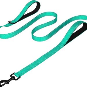 Joytale Dog Leash Heavy Duty for Large Dogs that Pull, Double Handle for Traffic Control, Double-Sided Reflective Leashes for Large Medium Dogs Night Safety, 6FT, Teal