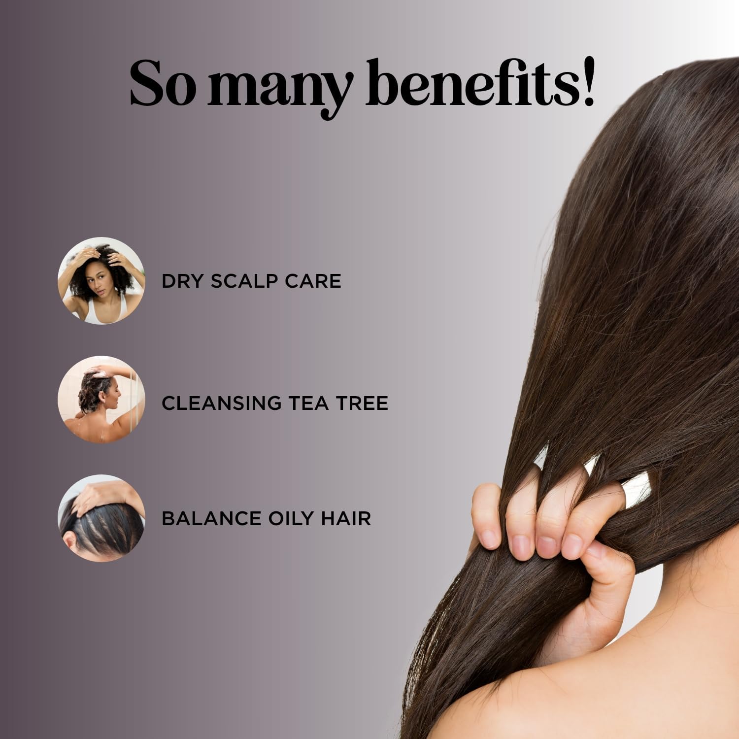 Tea Tree Shampoo for Oily Hair - Paraben and Sulfate Free Clarifying Shampoo for Build Up and Dry Scalp with Tea Tree Oil for Hair - Purifying Aromatherapy Tea Tree Oil Shampoo for Greasy Hair - Image 2