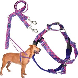2 Hounds Design - Freedom No-Pull Harness & Training Leash in Pink and Purple | Dual Leash Loops, No Pulling on Walks | Lined to Prevent Chaffing | for Large Sized Dogs (Size L, Chest 28”- 32”)