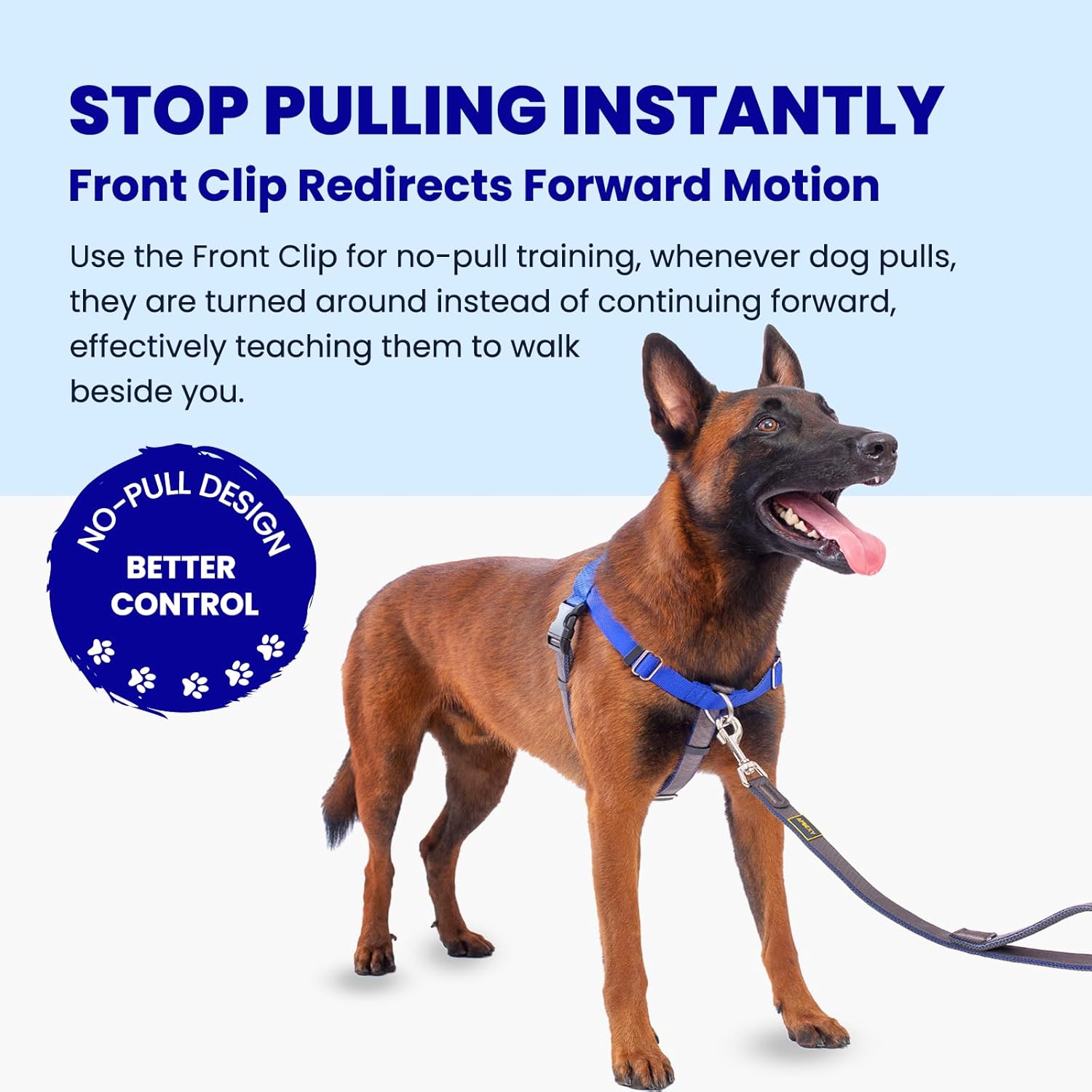 Freedom No Pull Dog Harness for Large Dogs, Blue, XL | Sewn-In Instructions Tags, Front Clip, Easy Walker, Anti Pull Harness, 2 Stainless D-Rings - Image 3
