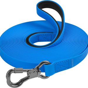 XiaZ Waterproof Long Dog Leash 30 feet, Training Long Line Lead for Large Medium Small Dogs Outside Walking, Playing, Camping, or Yard (30FT, Blue)
