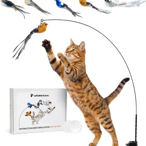 Whiskertons Interactive Bird Simulation Cat Toy Set, Interactive Cat Toys for Indoor Cats, Cat Feather Toy, Self-Holding Suction Base, 5 Replacement Birds, Feathers & Bells, Realistic Bird Impression
