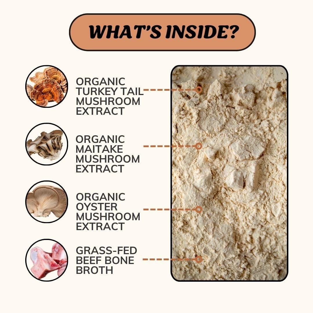 Fido's Longevity Bone Broth for Dogs - Turkey Tail + Maitake Mushroom - Grass-Fed Beef Bone Broth Powder - Dog Immune Support - Mushroom Supplement for Dogs - Dog Food Topper for Dry Food - 60 Scoops - Image 2