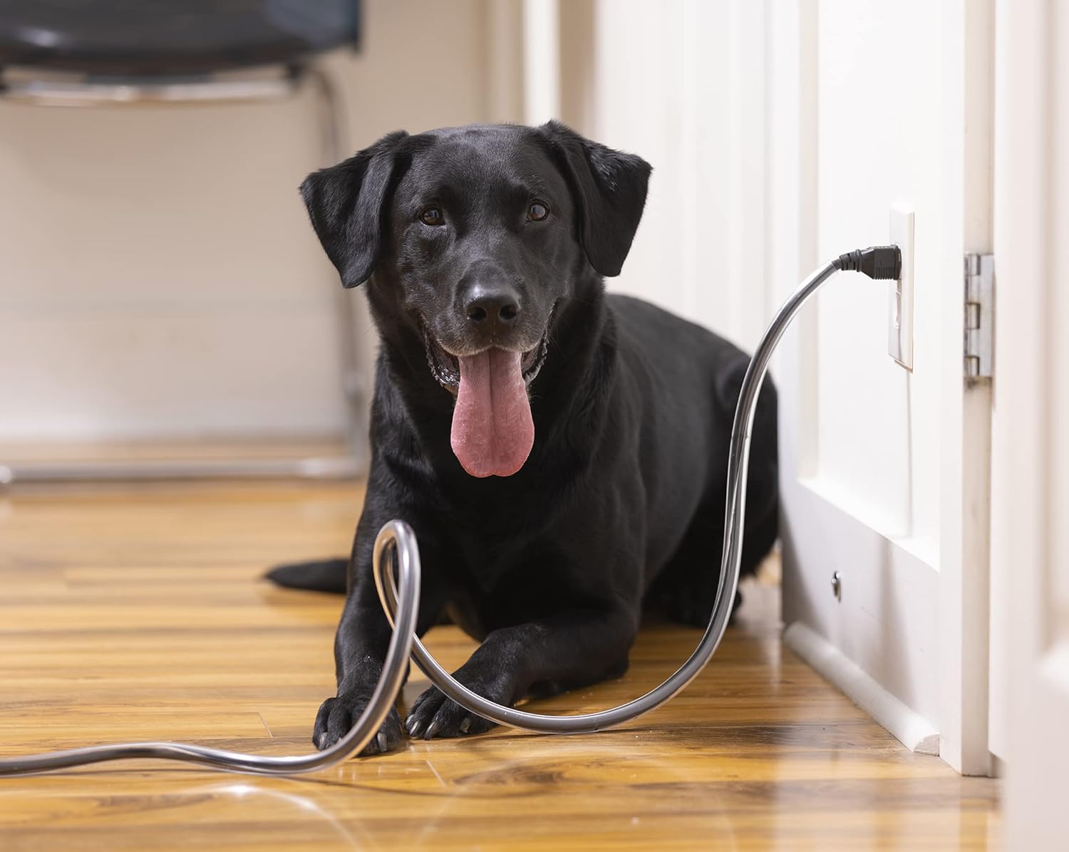 PetCords Dog and Cat Cord Pet Protector 10 FT, Protects Your Pets Through Insulated Cables up to 10ft, Pet and Critter Safety Device, Unscented, Odorless, Made and Designed in The USA - Image 2