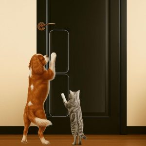Dog Door Scratch Protector 2-Pack 6 x 17 Clear Anti-Scratch Door Guard for Dogs & Cats, Heavy Duty PVC Pet Door Shield, Custom Cut Claw Protection for Interior Exterior Doors Frames & Trim