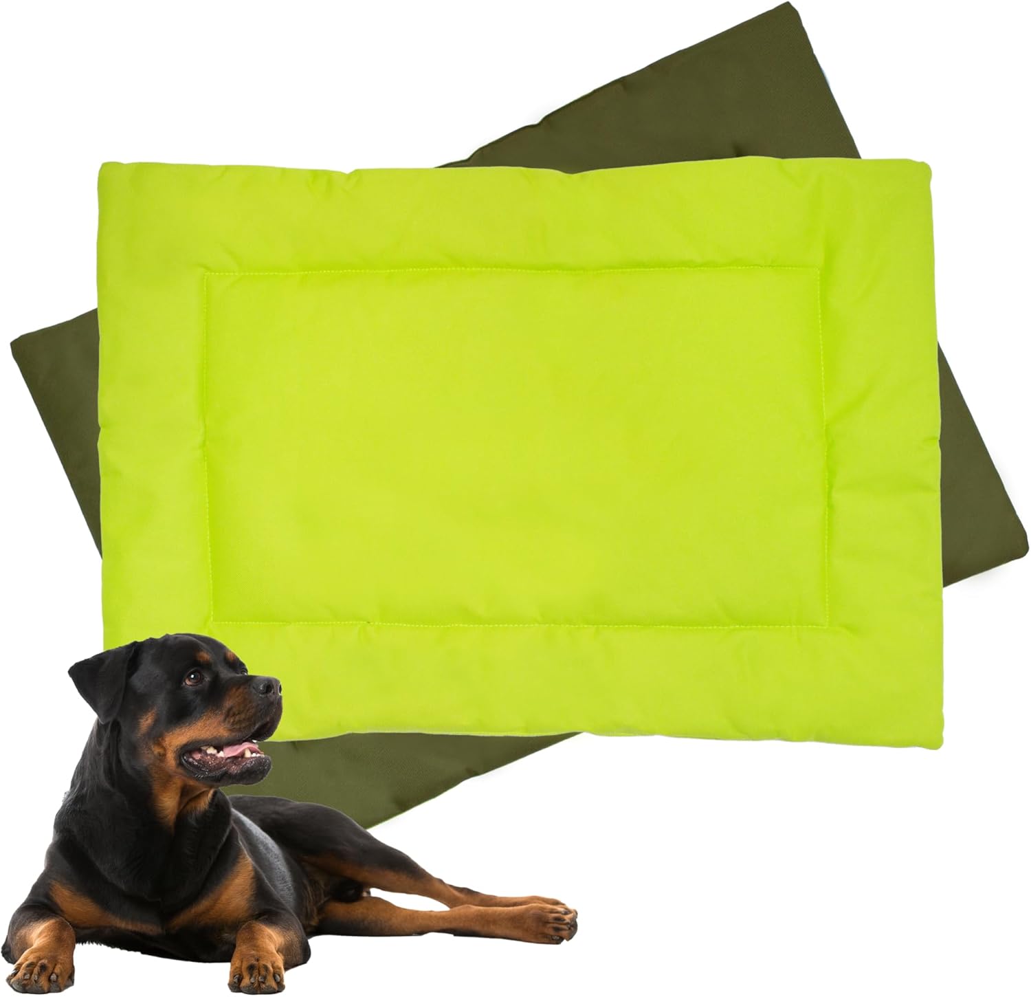 Downtown Pet Supply Dog Crate Pad, 35" x 22" - Waterproof, Ripstop Nylon Dog Crate Mat Chew Proof and Machine Washable - Dark and Light Green - L