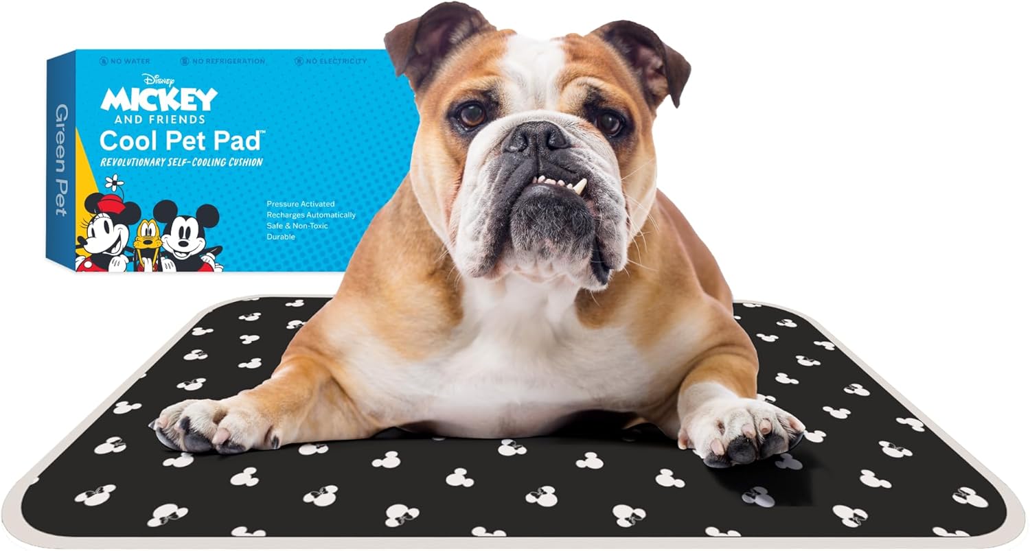 The Green Pet Shop Cool Pet Pad - Medium, Disney’s Mickey & Minnie Mouse - Self-Cooling, Pressure Activated Mat for Dogs & Cats from 21-45 lbs - Non-Toxic Gel, No Water Needed - Image 3