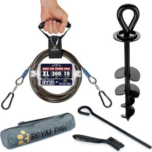 ROYAL PAW Dog Tie Out Cable and Stake 10ft - for Large Dogs up to 300 lbs - Heavy Duty Tether and Dog Stake for Yard, Beach & Camping Outside (Black, L/XL - 10ft)
