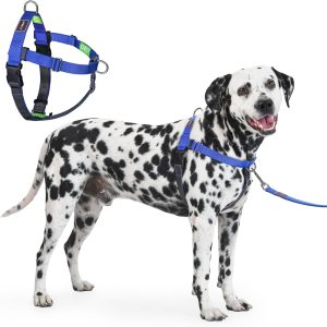 Freedom No Pull Dog Harness for Large Dogs, Blue, XL | Sewn-In Instructions Tags, Front Clip, Easy Walker, Anti Pull Harness, 2 Stainless D-Rings