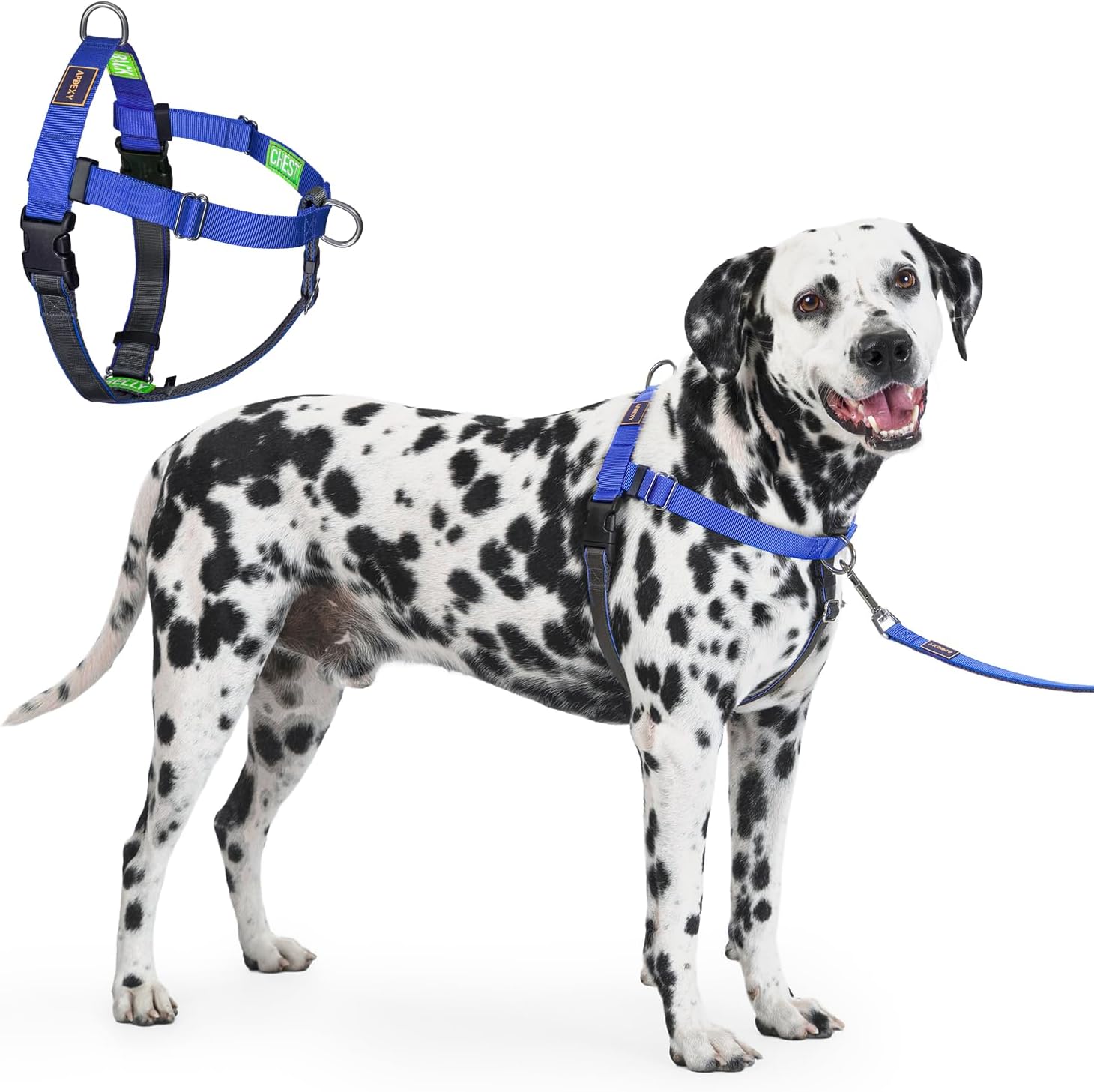 Freedom No Pull Dog Harness for Large Dogs, Blue, XL | Sewn-In Instructions Tags, Front Clip, Easy Walker, Anti Pull Harness, 2 Stainless D-Rings