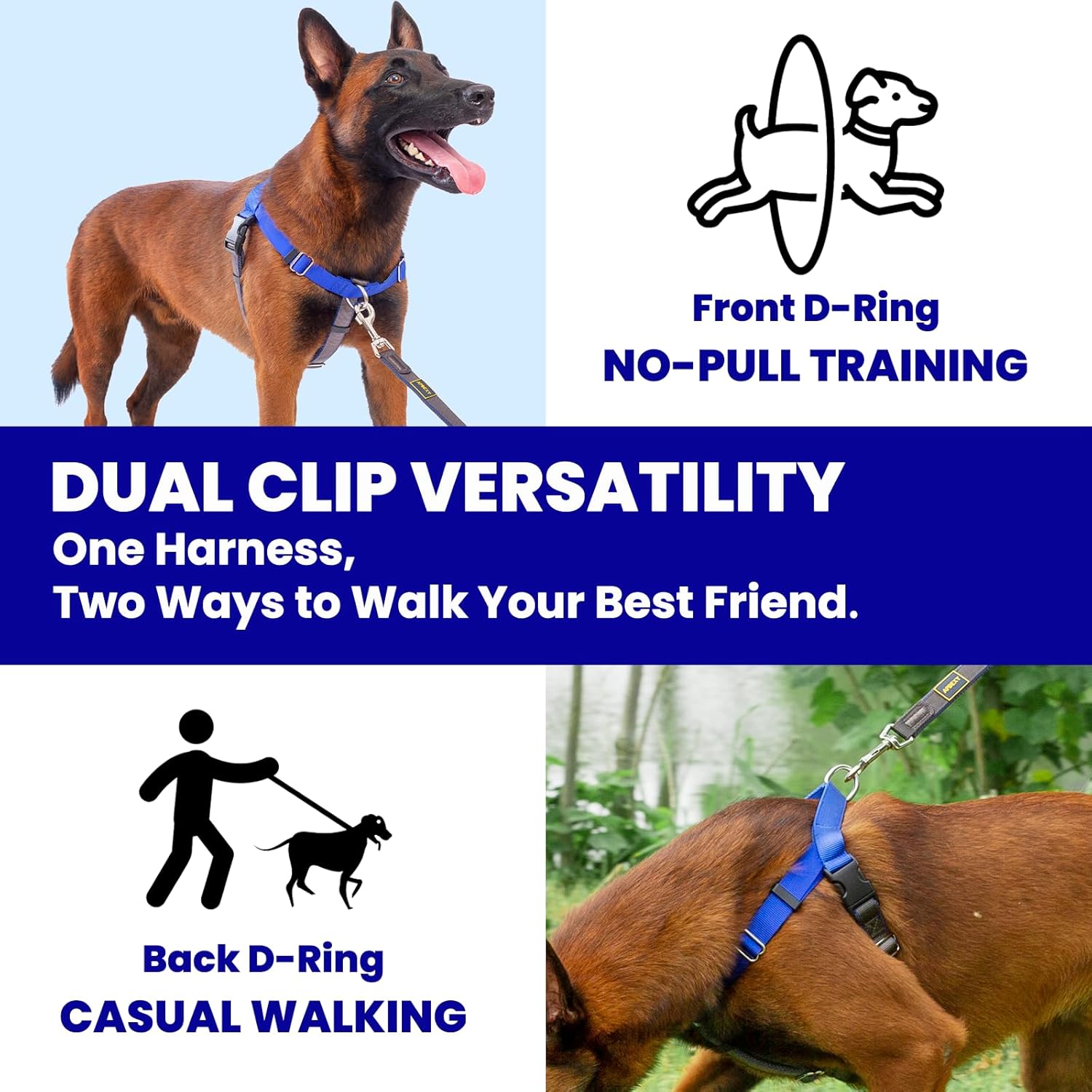 Freedom No Pull Dog Harness for Large Dogs, Blue, XL | Sewn-In Instructions Tags, Front Clip, Easy Walker, Anti Pull Harness, 2 Stainless D-Rings - Image 2