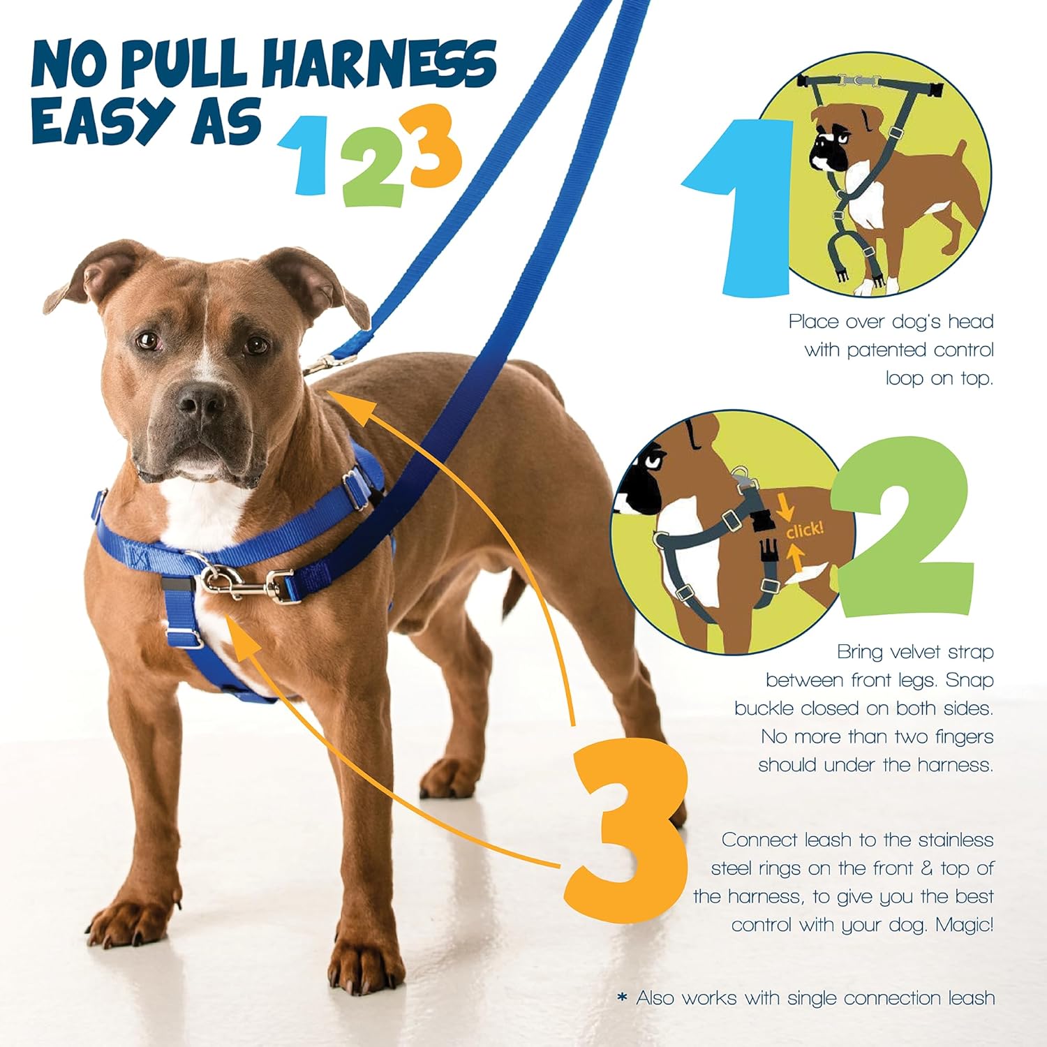 2 Hounds Design Freedom No Pull Dog Harness, Adjustable Harness and Leash Set, Easy Walking & Comfortable Control, Fits Small, Medium & Large Dogs, Solid Colors, Made in USA, 5/8" XS, Turquoise - Image 3