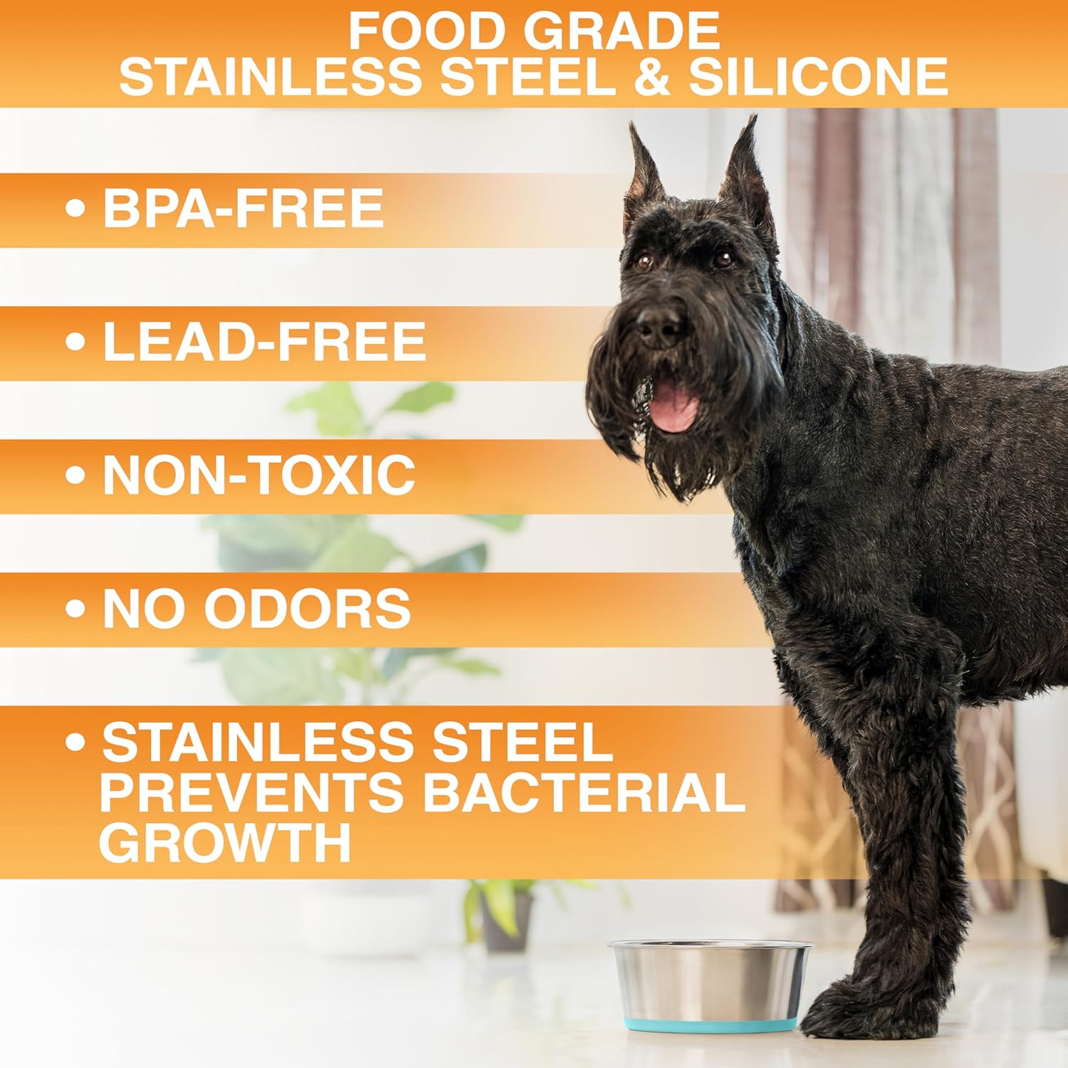 Neater Pet Brands Stainless Steel Dog Bowls with Non-Slip Rubber Bottom – 2 Cup (16 oz), Teal - Set of 2 Heavy Duty Metal Dog Bowls, Dishwasher Safe, Food or Water Bowl, Ideal for Small Dogs & Cats - Image 3