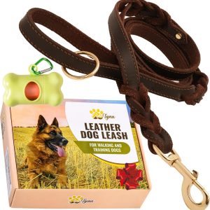 ADITYNA Leather Dog Leash with Traffic Handle, 6ft, Medium & Large Dogs | Heavy-duty braided leather leash, 3/4" width x 6ft, Double handle for extra control, ideal for training & busy sidewalks