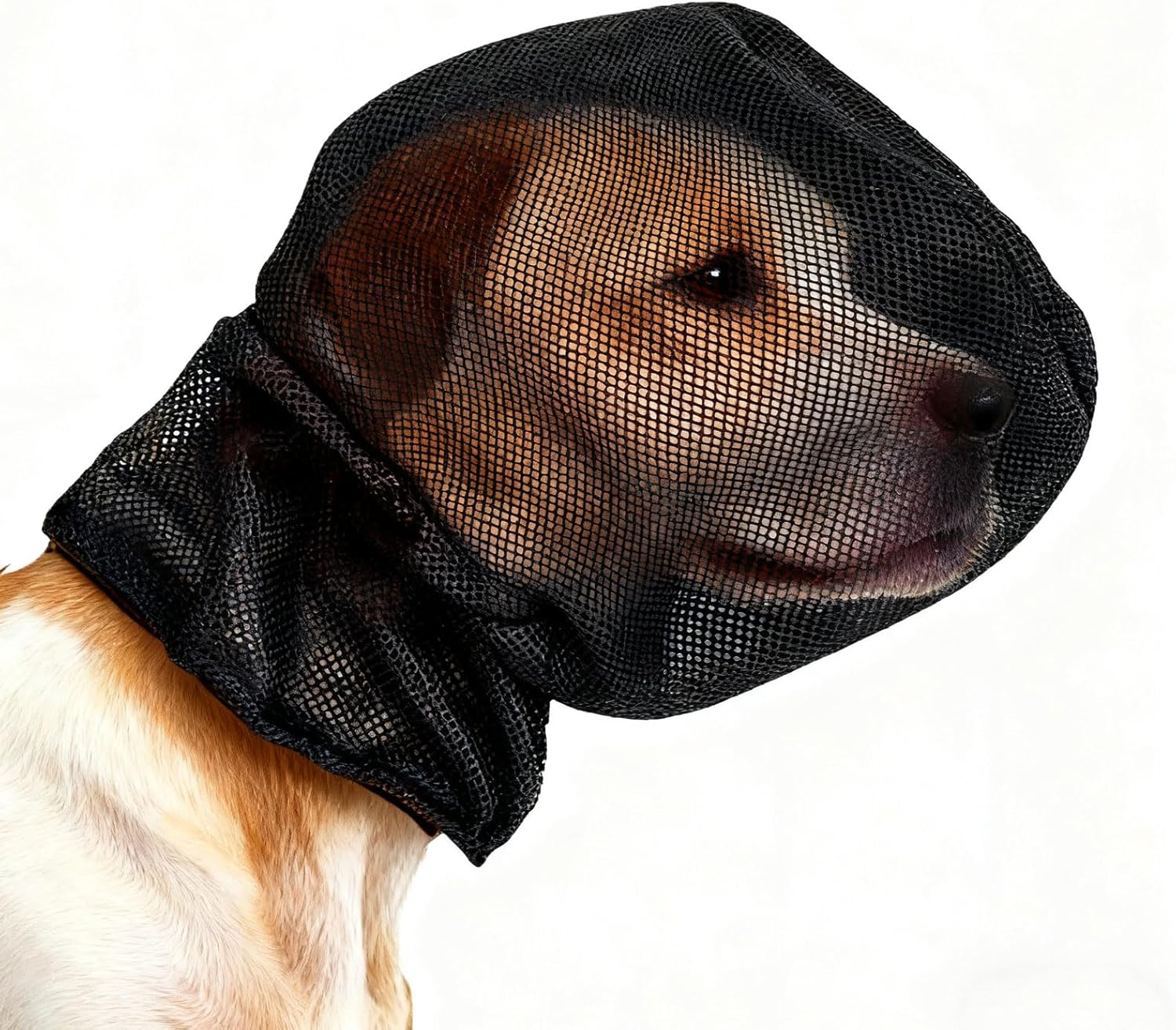 Foxtail Mask Dogs Head Protector, Foxtails Protection for Dogs Adjustable Elastic, Dog Soft Net Mask for Outdoor Hiking Camping, Breathable Mesh Muzzles for Dog, Black, XL - Image 2