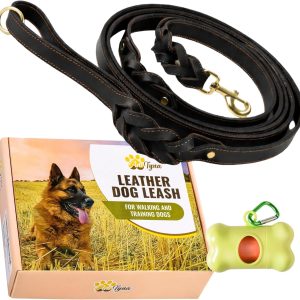 ADITYNA 6ft Leather Dog Leash with Traffic Handle for Extra-Large Dogs | Heavy-duty braided leather leash, 1" width x 6ft, Double handle for extra control, ideal for training & busy sidewalks.