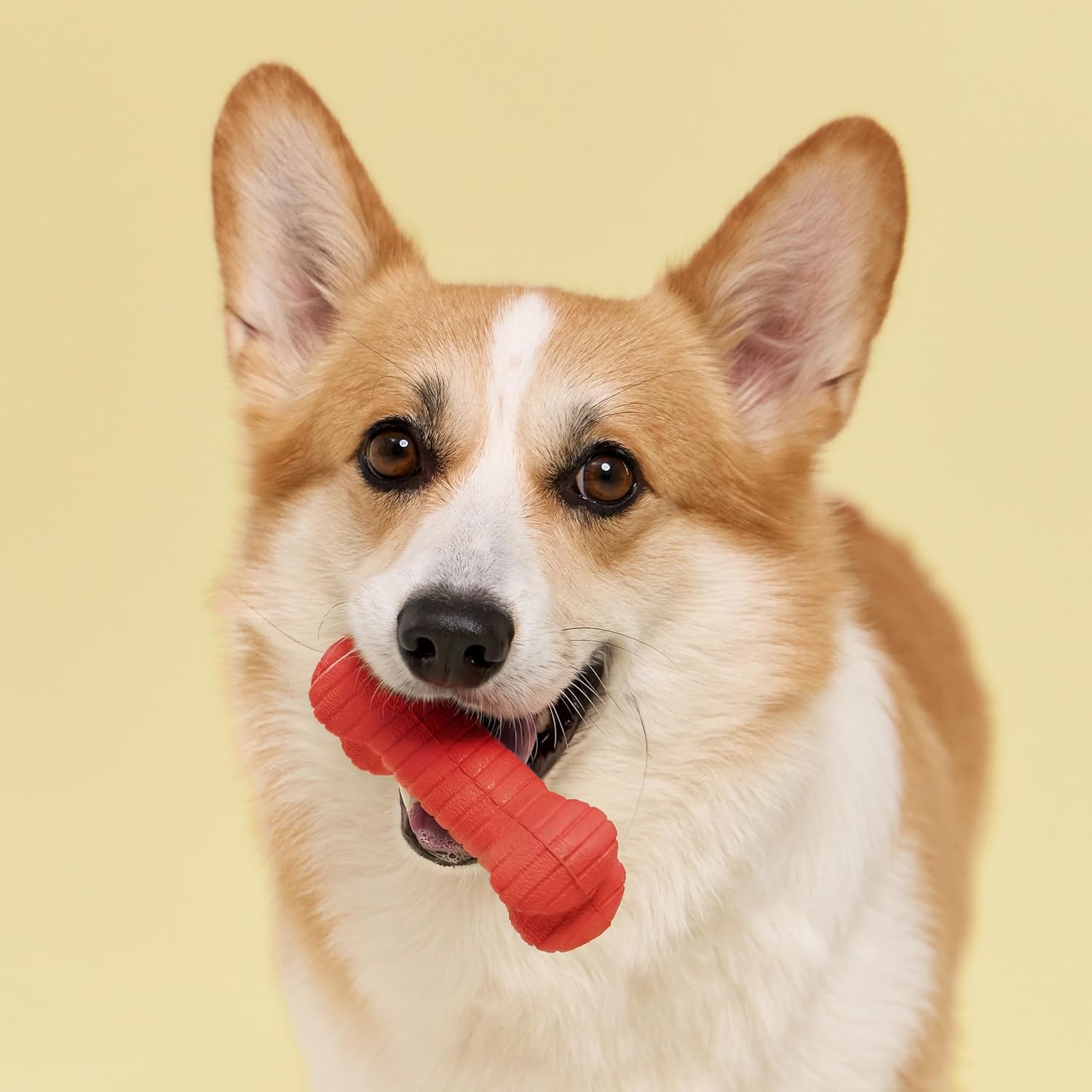 Playology Dog Toys | Dual Layer Bone Chew Toy for Dogs, Value 2-Pack | Beef Scented Medium Dog Bones - Image 3