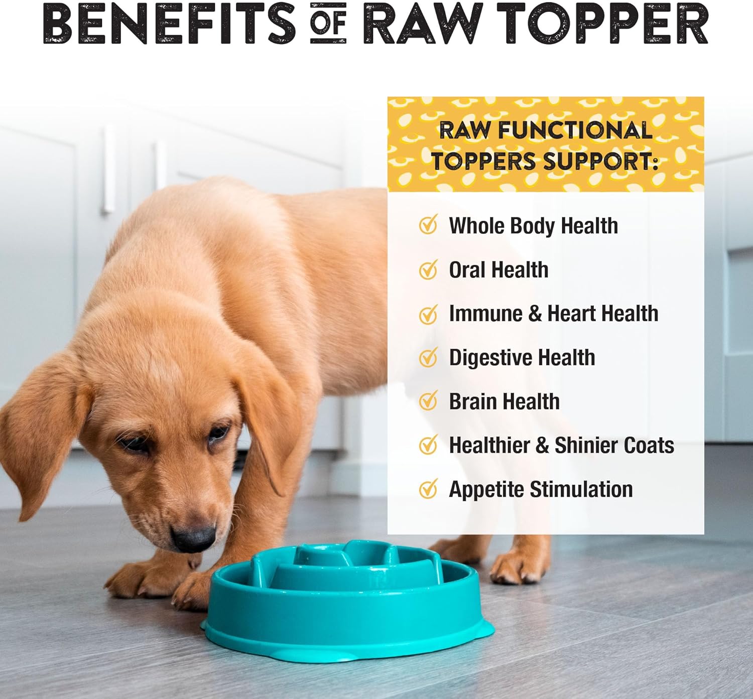 Northwest Naturals Freeze-Dried Whole Chicken Egg Functional Topper - for Dogs & Cats - Healthy, 1 Ingredient, Human Grade Ingredients, All Natural, Proudly Made in USA, 4 Oz (Pack of 2) - Image 3