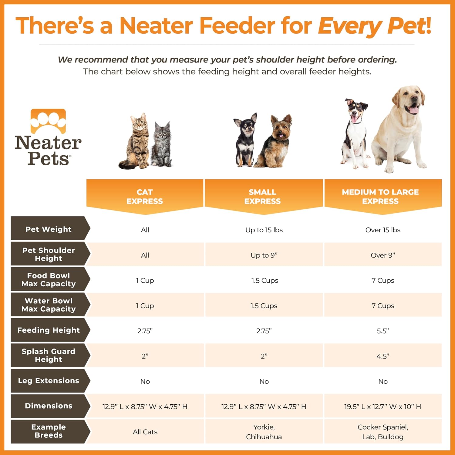 Neater Feeder Express Mess Proof Cat Bowls Elevated, No Spill Feeding Station, Stainless Steel Dishes for Food and Water, Raised Bowls for Indoor Cats, No Fatigue Whisker Friendly Dish, Cappuccino - Image 2