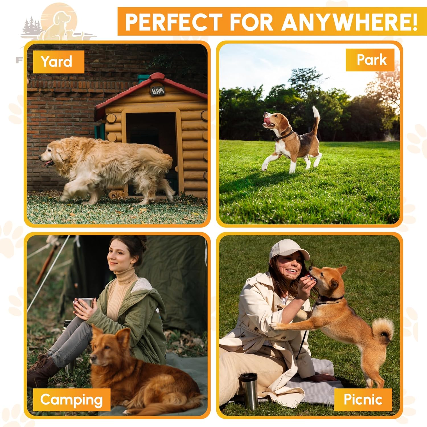 Heavy Duty Dog Tie Out Cable and Stake for Large to Extra Large Dogs Upto 150 LBs – Anti-Tangle, Rust-Resistant, 360° Swivel Leash System – 18 Inches Spiral Anchor and 7mm 30 FT Long Leash - Image 2
