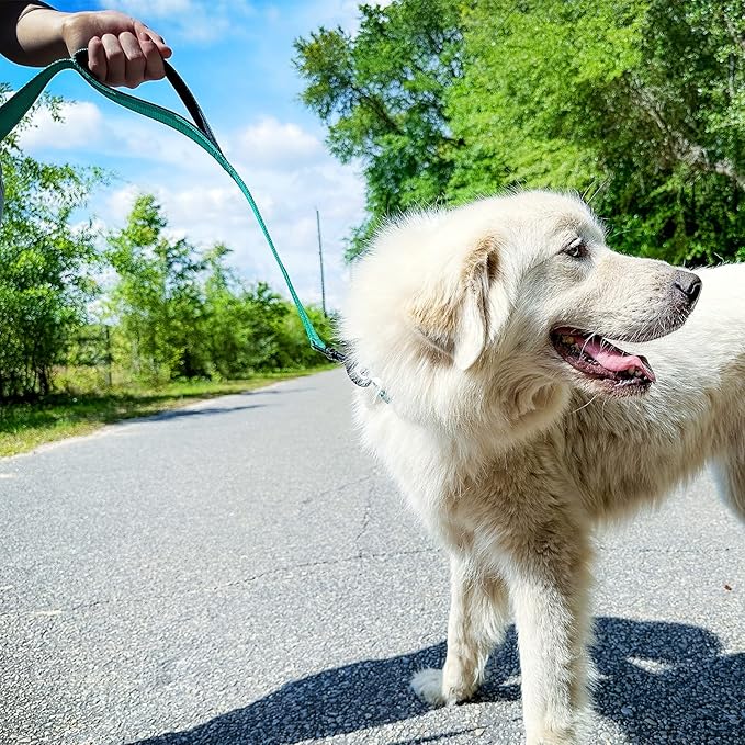 Joytale Dog Leash Heavy Duty for Large Dogs that Pull, Double Handle for Traffic Control, Double-Sided Reflective Leashes for Large Medium Dogs Night Safety, 6FT, Teal - Image 2