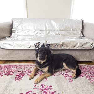 Pet Parents Pain-Free Pet Repeller Cat & Dog Deterrent Mat, Non-Electric Pet Deterrent Mat to Keep Pets Off Furniture, Premium Couch Covers