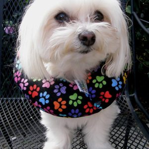 Puppy Bumpers Rainbow Paws 10-13" Made in USA 100% Cotton Stuffed Safety Fence Collar to Keep Your pet Safely on The Right Side of The Fence.