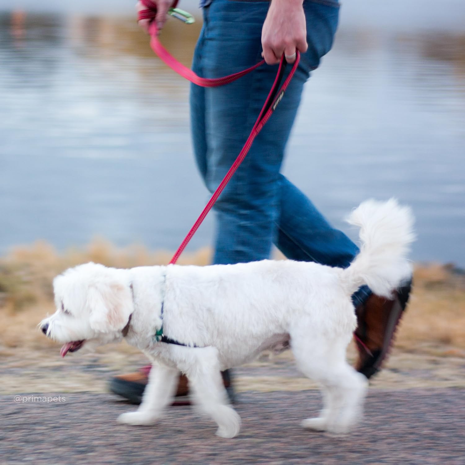 Reflective 6 Feet Nylon Dog Leash with Padded Double Handles, 2 Heavy Duty Dual Neoprene Handles for Control Safety Training Durable Traffic Handle, for Small Dog (Small - 5/8" Width, RED) - Image 2