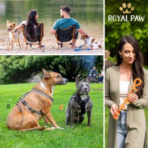 ROYAL-PAW Dog Tie Out Stake - for Large Dogs up to 210 lbs - Heavy Duty Dog Stake for Yard, Beach & Camping Outside - Best in Ground Anchor for a Dog Cable, Leash, Lead Tether (1, Midnight Black)